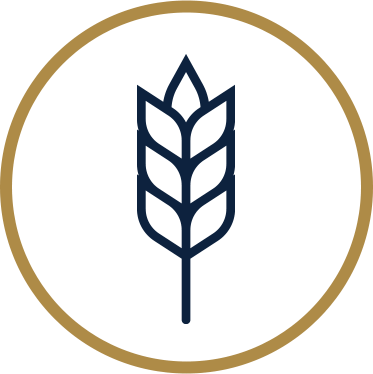 barley logo